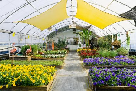 오색꽃차치유농원