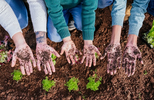빅데이터 치유의 관점에서 농업을 보다