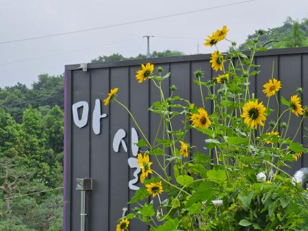 마실